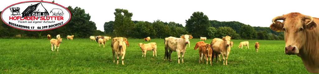 Hof Slütter Hof Slütter Qualität und Frische direkt vom Erzeuger
